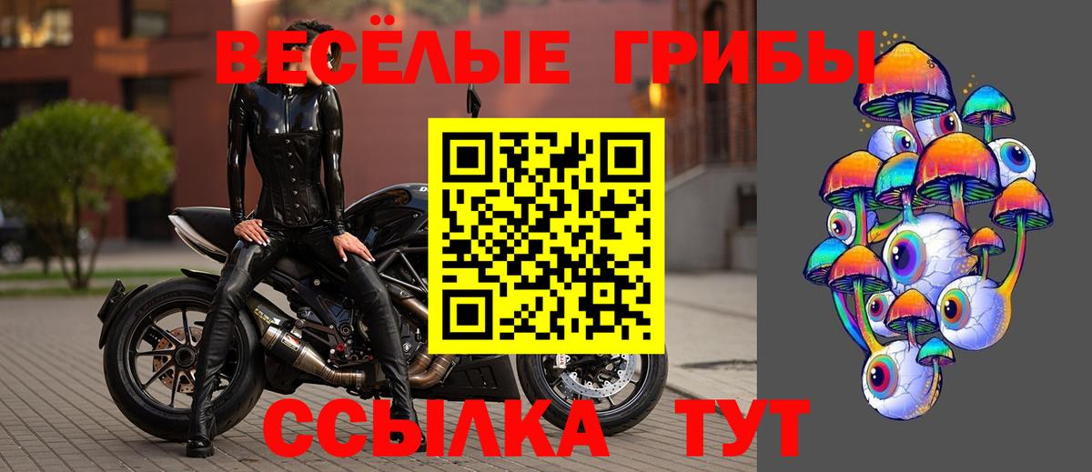 Тамбов  Псилоцибиновые грибы мухоморы  где купить наркотик  Вход с VPN 